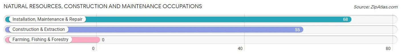 Natural Resources, Construction and Maintenance Occupations in Zip Code 24324