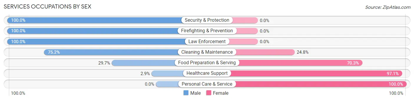 Services Occupations by Sex in Zip Code 24343