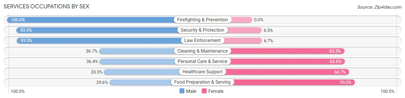 Services Occupations by Sex in Zip Code 24348