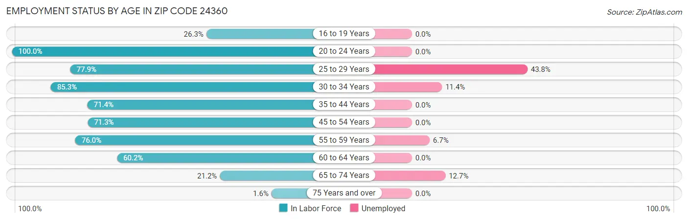 Employment Status by Age in Zip Code 24360