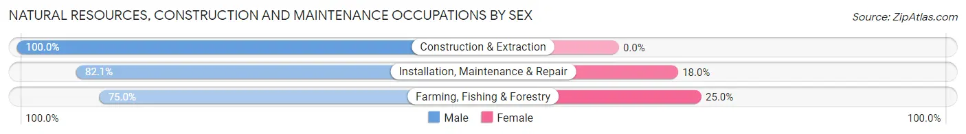 Natural Resources, Construction and Maintenance Occupations by Sex in Zip Code 24361