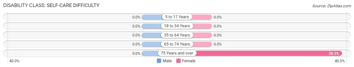 Disability in Zip Code 24374: <span>Self-Care Difficulty</span>