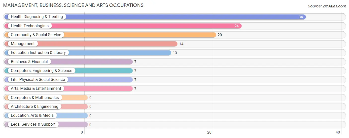 Management, Business, Science and Arts Occupations in Zip Code 24375