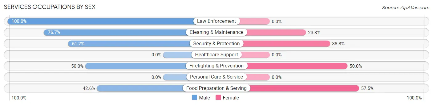 Services Occupations by Sex in Zip Code 24375