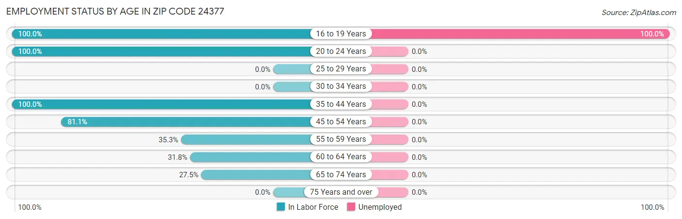 Employment Status by Age in Zip Code 24377