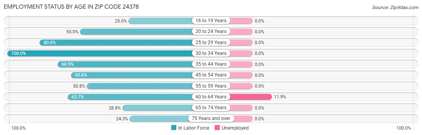 Employment Status by Age in Zip Code 24378