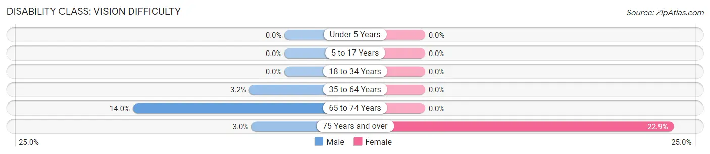 Disability in Zip Code 24378: <span>Vision Difficulty</span>