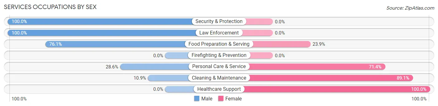 Services Occupations by Sex in Zip Code 24380
