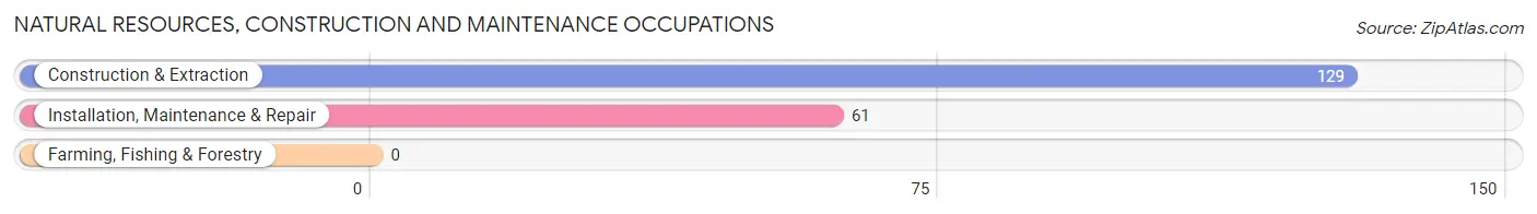 Natural Resources, Construction and Maintenance Occupations in Zip Code 24381