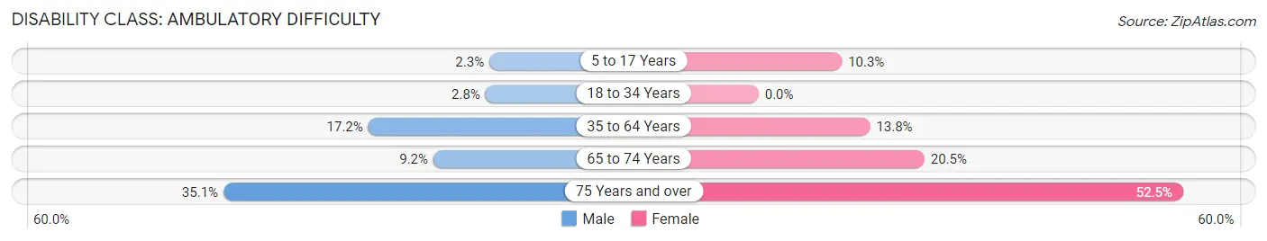 Disability in Zip Code 24382: <span>Ambulatory Difficulty</span>