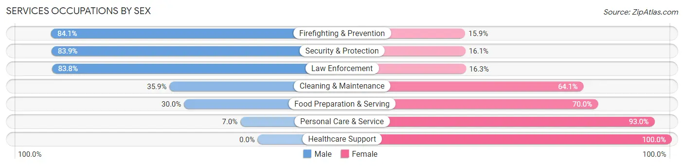 Services Occupations by Sex in Zip Code 24382