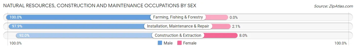 Natural Resources, Construction and Maintenance Occupations by Sex in Zip Code 24401