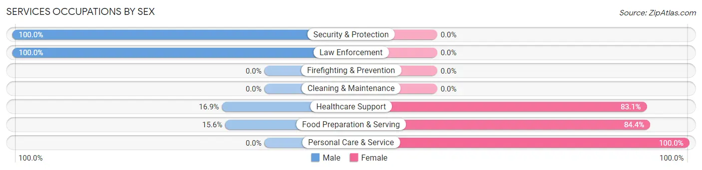 Services Occupations by Sex in Zip Code 24431