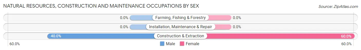 Natural Resources, Construction and Maintenance Occupations by Sex in Zip Code 24458