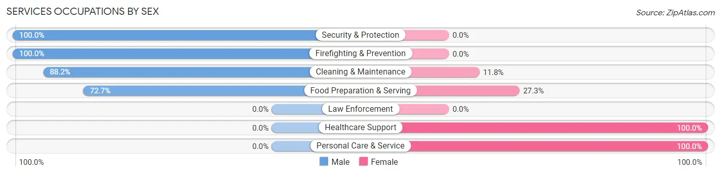 Services Occupations by Sex in Zip Code 24465