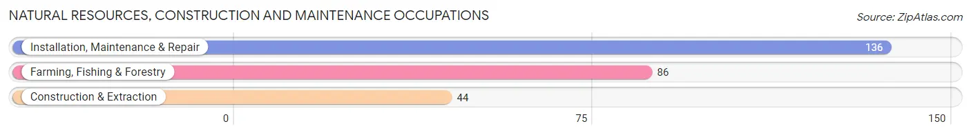 Natural Resources, Construction and Maintenance Occupations in Zip Code 24467