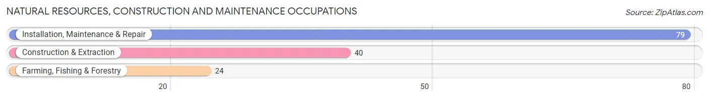 Natural Resources, Construction and Maintenance Occupations in Zip Code 24471