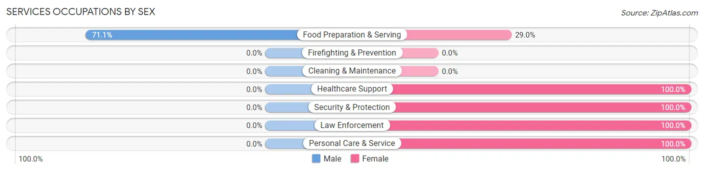 Services Occupations by Sex in Zip Code 24472