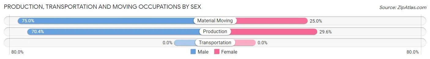 Production, Transportation and Moving Occupations by Sex in Zip Code 24485