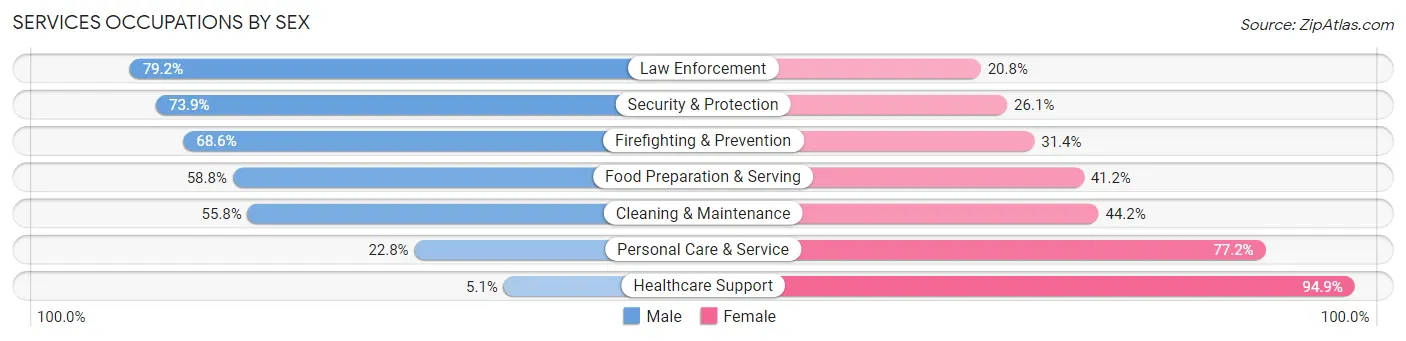 Services Occupations by Sex in Zip Code 24501