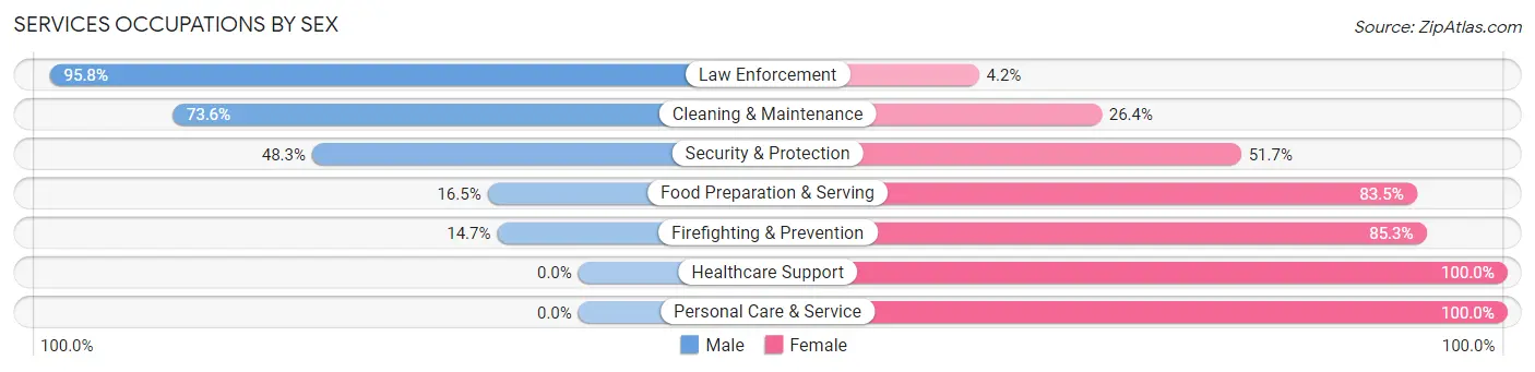 Services Occupations by Sex in Zip Code 24521