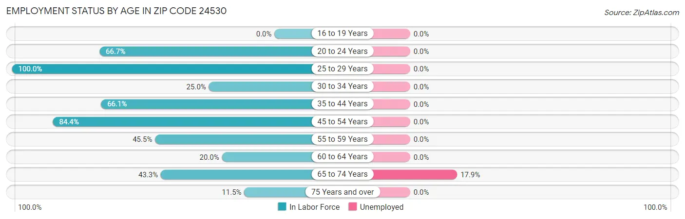 Employment Status by Age in Zip Code 24530