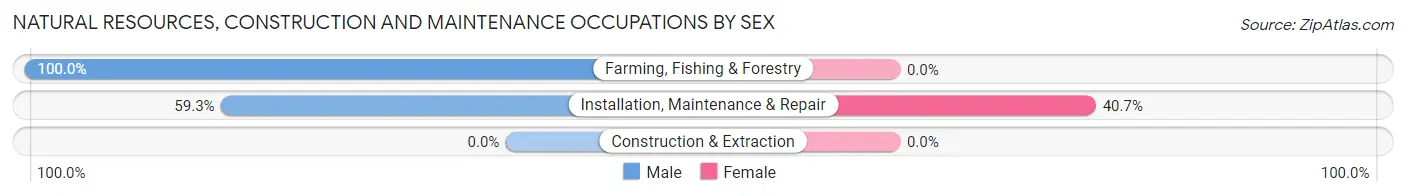 Natural Resources, Construction and Maintenance Occupations by Sex in Zip Code 24534
