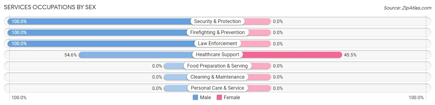 Services Occupations by Sex in Zip Code 24534