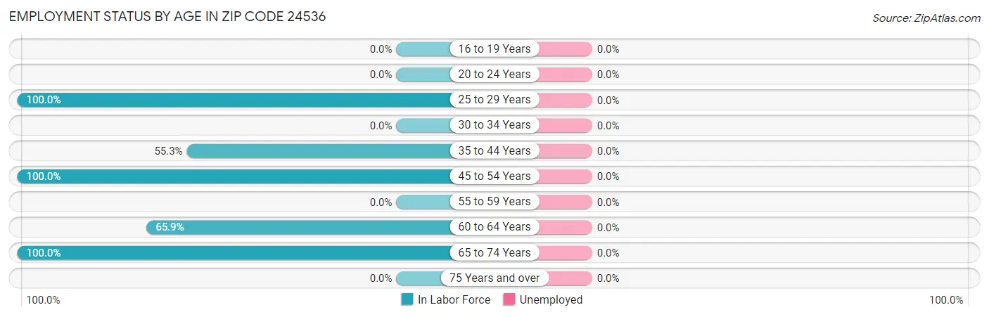 Employment Status by Age in Zip Code 24536