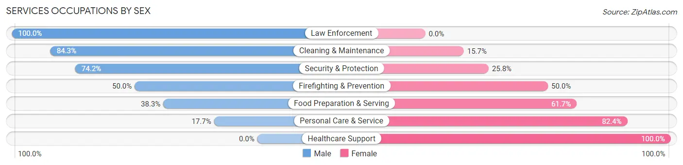 Services Occupations by Sex in Zip Code 24538
