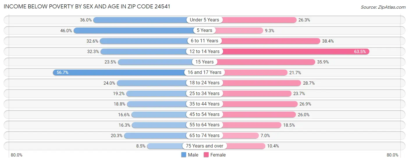 Income Below Poverty by Sex and Age in Zip Code 24541