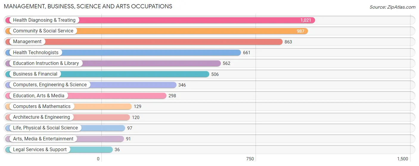 Management, Business, Science and Arts Occupations in Zip Code 24541