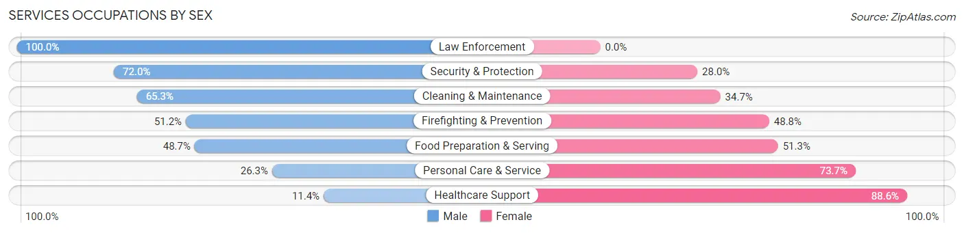 Services Occupations by Sex in Zip Code 24551