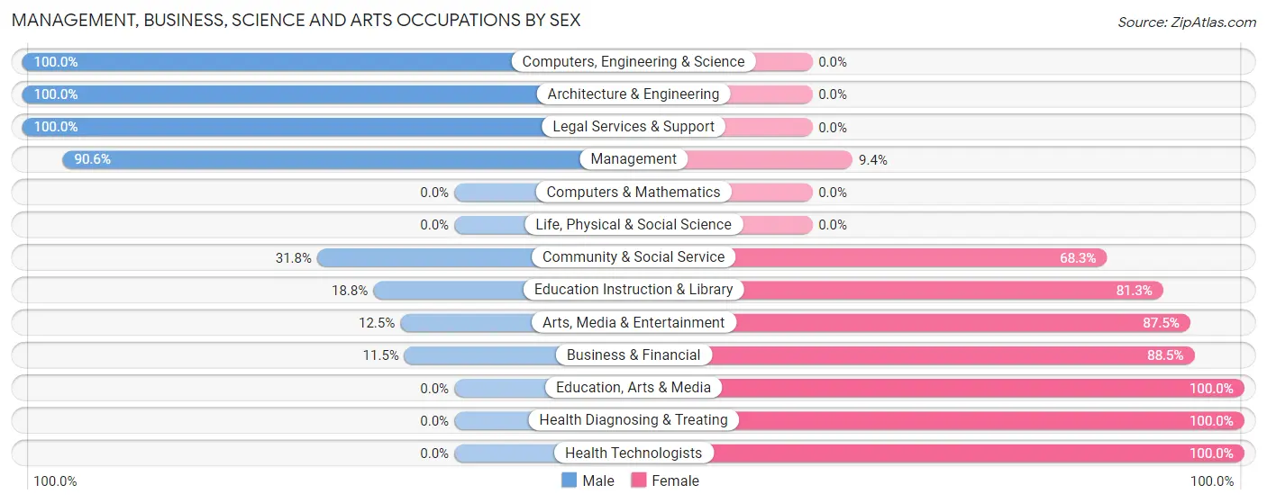 Management, Business, Science and Arts Occupations by Sex in Zip Code 24555