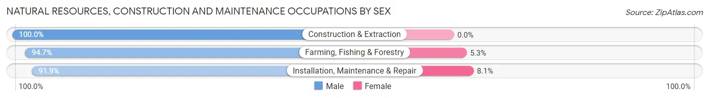 Natural Resources, Construction and Maintenance Occupations by Sex in Zip Code 24557