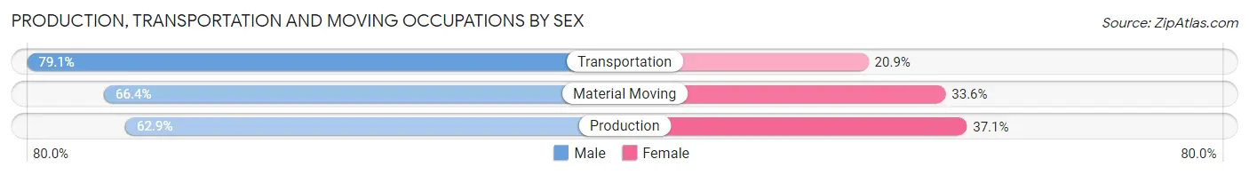 Production, Transportation and Moving Occupations by Sex in Zip Code 24557