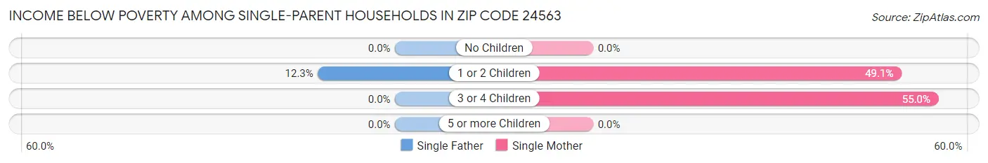 Income Below Poverty Among Single-Parent Households in Zip Code 24563