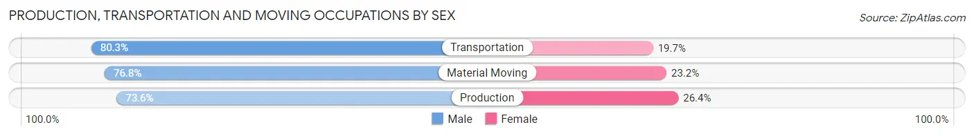 Production, Transportation and Moving Occupations by Sex in Zip Code 24563