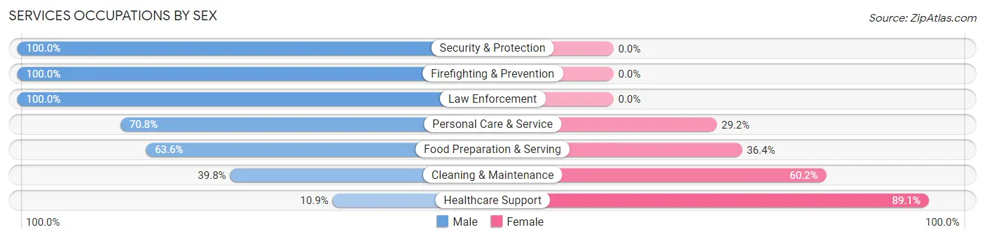 Services Occupations by Sex in Zip Code 24563