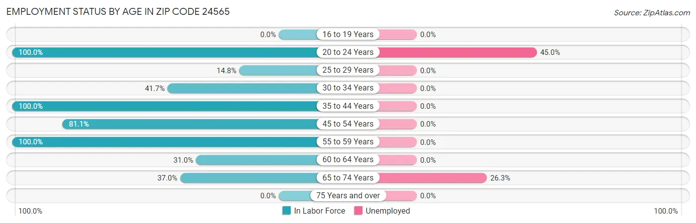Employment Status by Age in Zip Code 24565