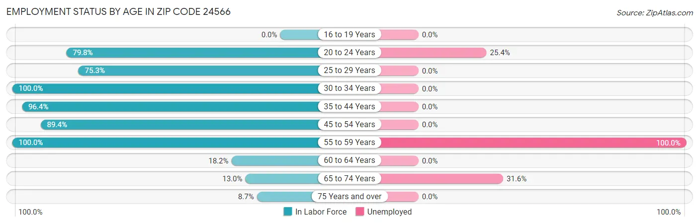 Employment Status by Age in Zip Code 24566