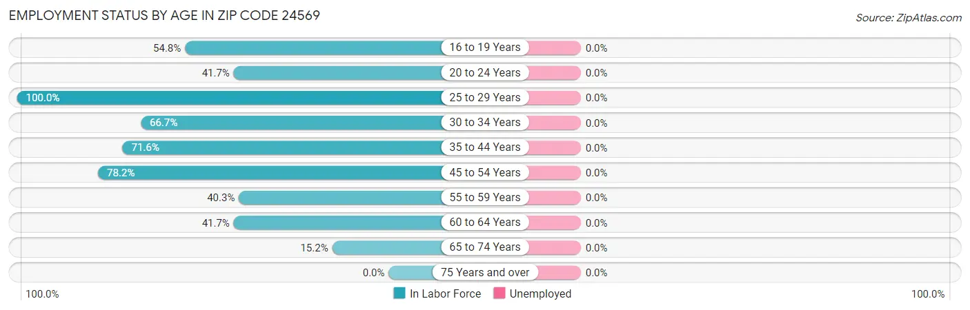 Employment Status by Age in Zip Code 24569