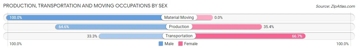 Production, Transportation and Moving Occupations by Sex in Zip Code 24569
