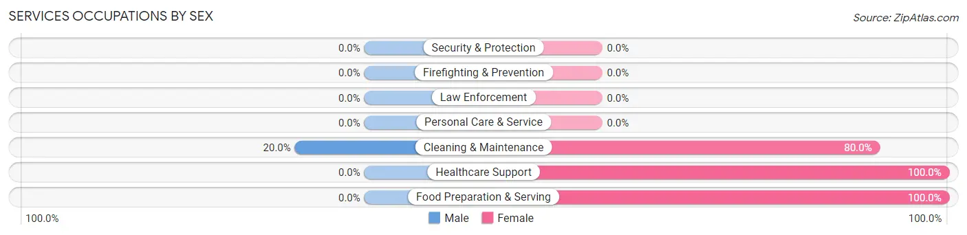 Services Occupations by Sex in Zip Code 24569