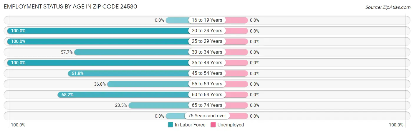 Employment Status by Age in Zip Code 24580