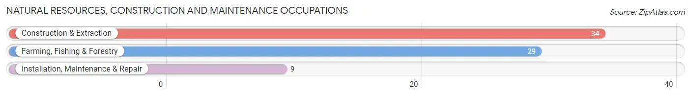 Natural Resources, Construction and Maintenance Occupations in Zip Code 24580