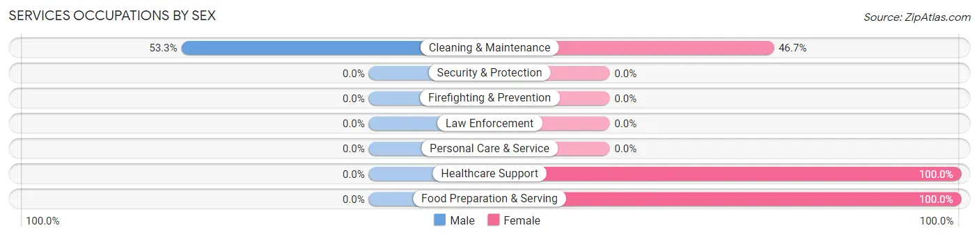Services Occupations by Sex in Zip Code 24589