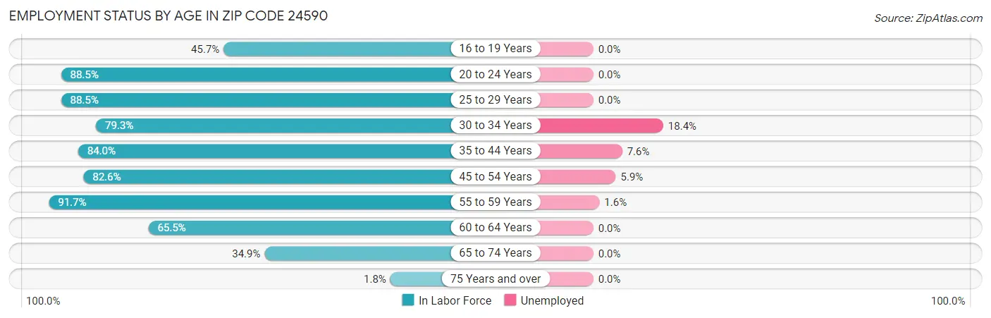 Employment Status by Age in Zip Code 24590