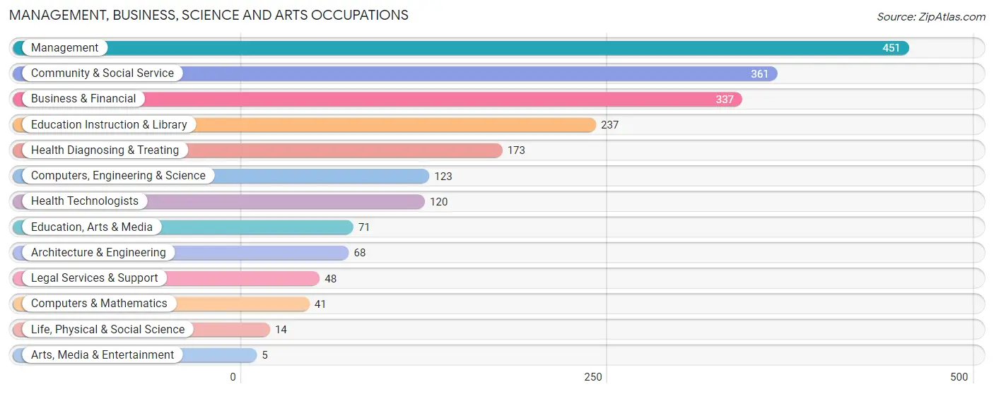 Management, Business, Science and Arts Occupations in Zip Code 24590