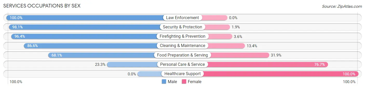 Services Occupations by Sex in Zip Code 24590